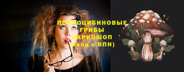 тгк Беломорск