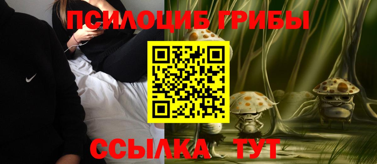 Галлюциногенные грибы мицелий  Галлюциногенные грибы Psilocybe  Гай  Вход с VPN 